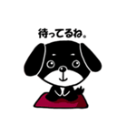 犬のクロ（個別スタンプ：34）