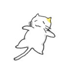 まむねこ（個別スタンプ：17）