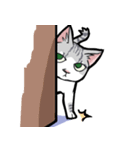 HANA-daily life（個別スタンプ：20）