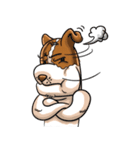 Pom Chua Op-Un（個別スタンプ：16）
