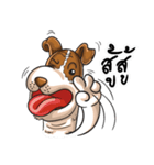 Pom Chua Op-Un（個別スタンプ：36）