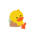 Yellow Duck ver.International（個別スタンプ：36）