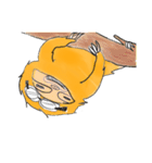 ほんのナマケモノ（個別スタンプ：39）