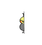 鳥の煮え切らない敬語スタンプ（個別スタンプ：5）