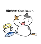 サーバー猫（個別スタンプ：1）