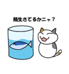 サーバー猫（個別スタンプ：3）