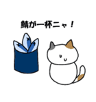 サーバー猫（個別スタンプ：4）