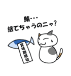 サーバー猫（個別スタンプ：17）