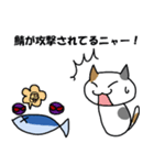 サーバー猫（個別スタンプ：25）