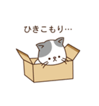 猫のしぐさスタンプ（個別スタンプ：25）