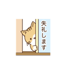 猫のしぐさスタンプ（個別スタンプ：26）