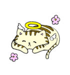 Angel cat＆Devil cat（個別スタンプ：1）
