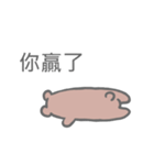 Taiwan Hamster's Sticker（個別スタンプ：3）
