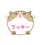 まんまるねこと仲間たち（個別スタンプ：5）