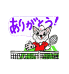 チワワん♪6 (テニス 2)（個別スタンプ：13）