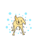 The dog of Thailand（個別スタンプ：30）