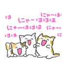 三色ねこ（個別スタンプ：1）