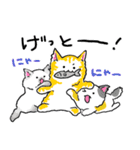 三色ねこ（個別スタンプ：8）