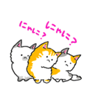 三色ねこ（個別スタンプ：16）