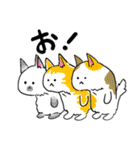 三色ねこ（個別スタンプ：17）