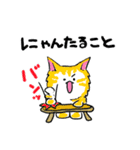 三色ねこ（個別スタンプ：21）