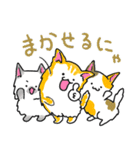 三色ねこ（個別スタンプ：39）