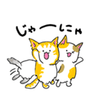 三色ねこ（個別スタンプ：40）