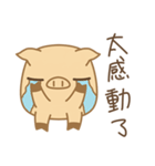 Little-Pig-Brother 1（個別スタンプ：36）