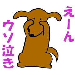 [LINEスタンプ] 犬の日常生活