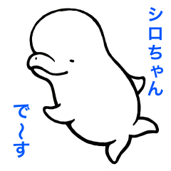 [LINEスタンプ] 白イルカのシロちゃん