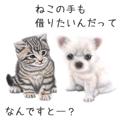 [LINEスタンプ] 子犬と子猫の絵