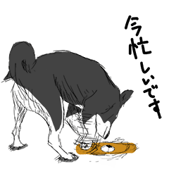 [LINEスタンプ] 黒柴犬くぅの画像（メイン）