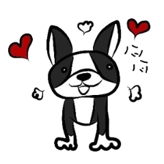 [LINEスタンプ] ボストンテリア大好き