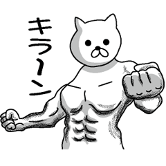 [LINEスタンプ] 筋肉猫