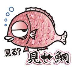 [LINEスタンプ] 見せ鯛