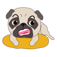 [LINEスタンプ] Baby Funny Pugの画像（メイン）
