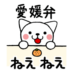 [LINEスタンプ] 愛媛弁のネコの画像（メイン）