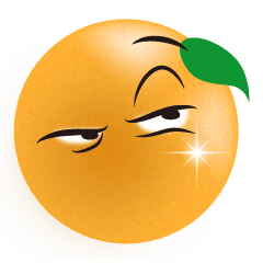 [LINEスタンプ] オレンジの表情の画像（メイン）