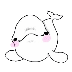 [LINEスタンプ] ゆるイルカ