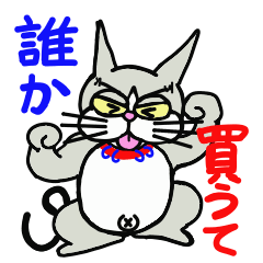 [LINEスタンプ] 捨て猫”小次郎”Ⅰ ~ 関西弁だぜぇ~ ~