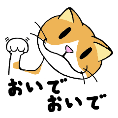 [LINEスタンプ] うち猫集