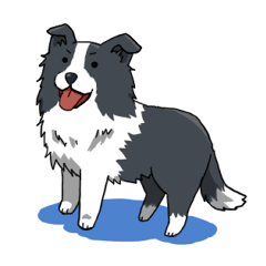[LINEスタンプ] ボーダーコリー犬スタンプの画像（メイン）