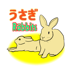 [LINEスタンプ] うちの家ウサギさんたちの画像（メイン）