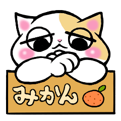 [LINEスタンプ] どーも。猫太郎です。