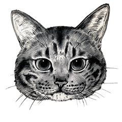 [LINEスタンプ] チャチャとゆかいな仲間たち