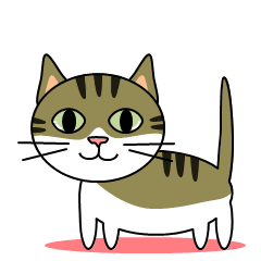 [LINEスタンプ] サバトラ美猫のコタ