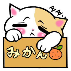 [LINEスタンプ] 猫太郎です。里親募集中