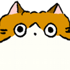 [LINEスタンプ] ふわふわのかわいい猫と友達スタンプ