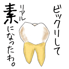 [LINEスタンプ] 歯っぴースタンプ