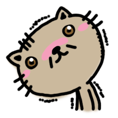Meowication